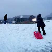 Magical Winter Wonderland at Yongpyong Ski Resort!