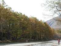 คามิโคจิ (Kamikochi)