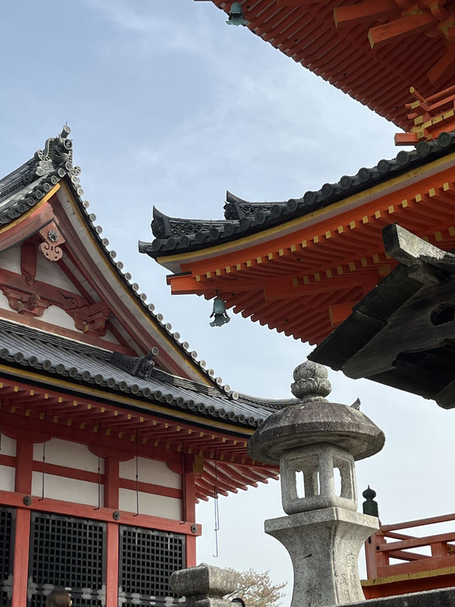 Kyoto｜ Kiyomizu-dera, the must visit temple in Koyto