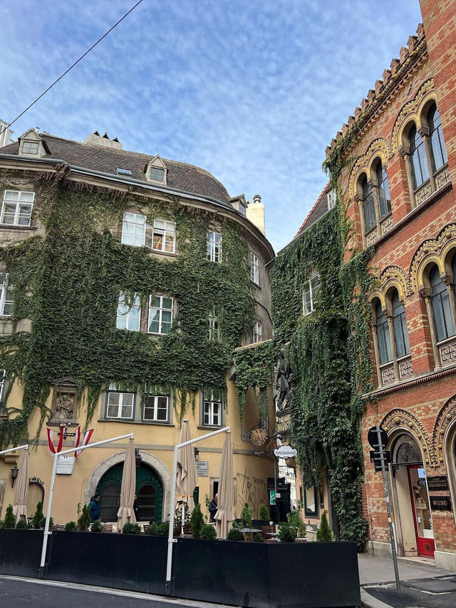 Autumn in Vienna 🗺️