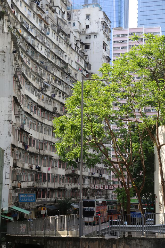 香港 ｜ 便捷一日遊！