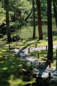 西芳寺（苔寺）｜京都的夏 美哭了