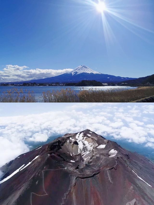 日本靜岡攻略，這4個景點等你來打卡！。