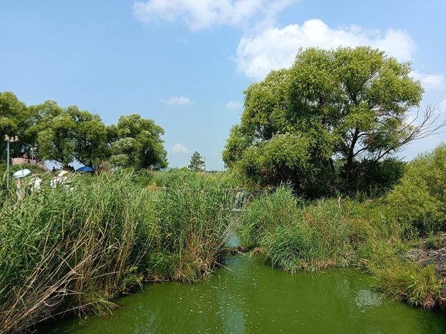 五大連池藥泉湖。