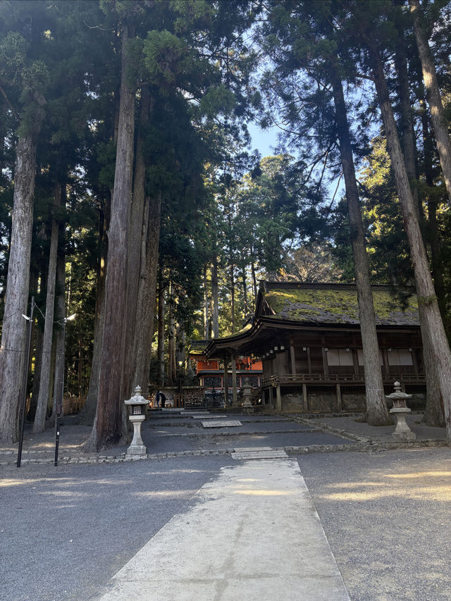 高野山——避開人流，和歌山縣的賞楓好地。