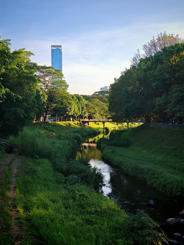 在深圳！想去無數次的公園，原圖不修也很美。