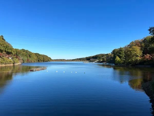 Moomin Valley Park: A Fairy Tale Town in Autumn