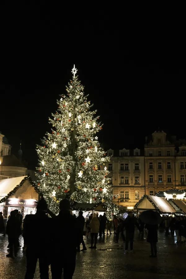 Prague Christmas Market Experience