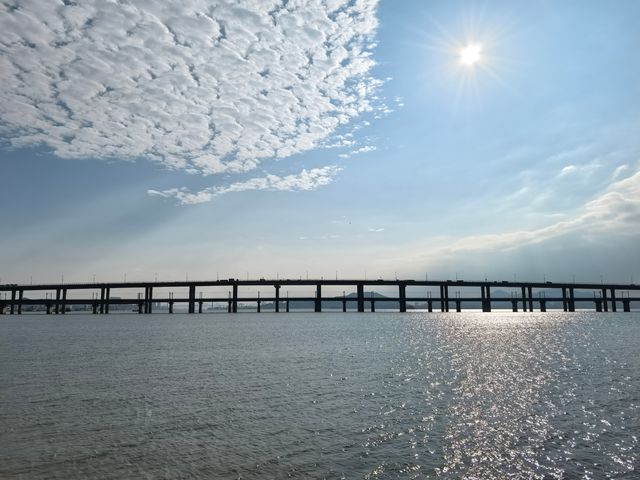 海濱花園城市廈門