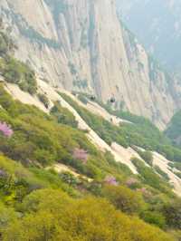 4日暢遊華清宮-華山 盡覽熱門美景不踩雷