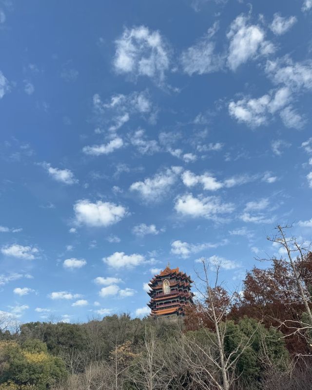 君山寺與君山公園，心靈的寧靜港灣