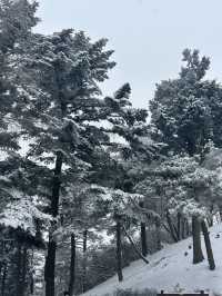 寒假要去江西南昌-廬山-景德鎮旅遊攻略來啦