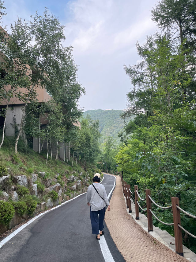 서울근교에서 만난 숲캉스 리조트 🌿💚