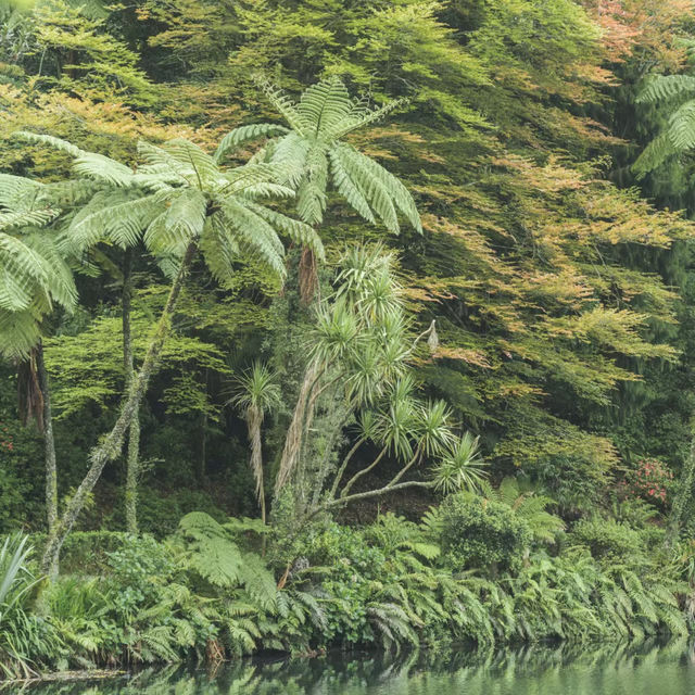 吉隆坡湖濱公園：綠洲中的城市樂趣，享受寧靜與平和