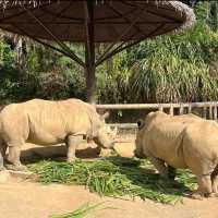 上海動物園⛲️神奇動物世界