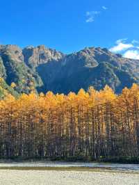 📸 จุดไฮไลท์ที่ควรถ่ายรูป Kamikochi