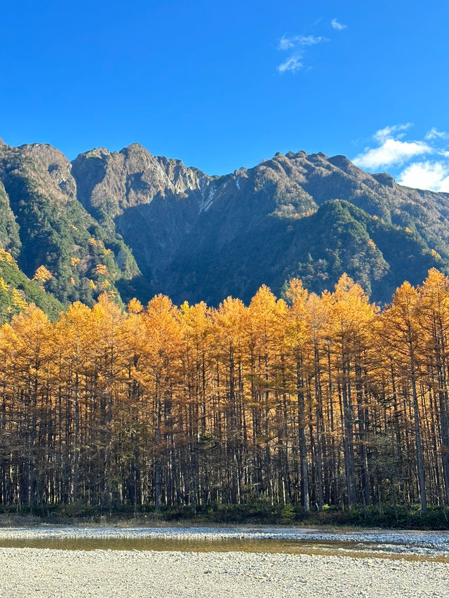 📸 จุดไฮไลท์ที่ควรถ่ายรูป Kamikochi