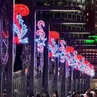 Melbourne’s Christmas Lights: A Night of Sparkle and Joy