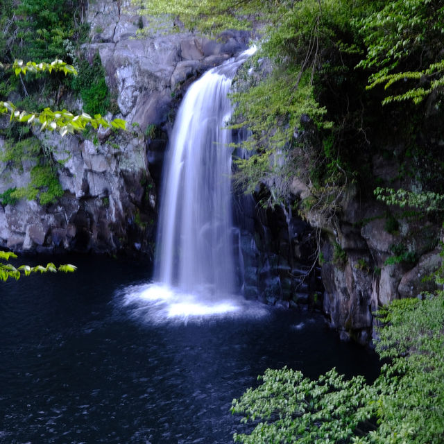 Dreamy Jeju