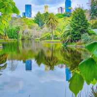 Nature's Masterpiece: Unwinding at Melbourne's Royal Botanic Gardens 🇦🇺