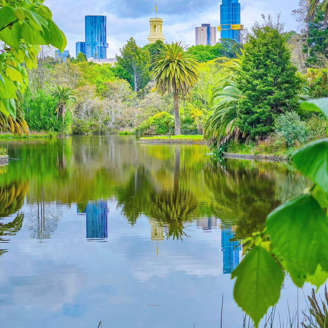 Nature's Masterpiece: Unwinding at Melbourne's Royal Botanic Gardens 🇦🇺