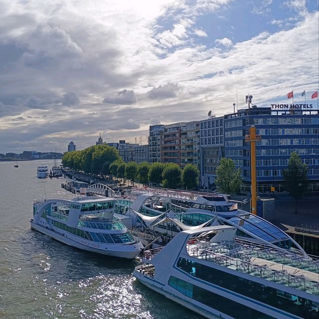 The "True" Capital of the Netherlands: Rotterdam 