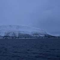 Out at the Fjords to catch some whales sightings 