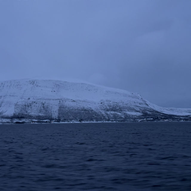 Out at the Fjords to catch some whales sightings 