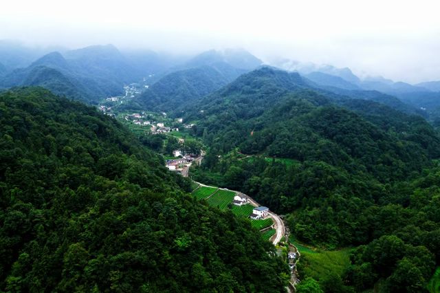 這裡被譽為最美茶園——老霧沖景區。