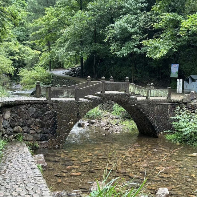 群山深處的綠色秘境——大奇山的自然探險之旅