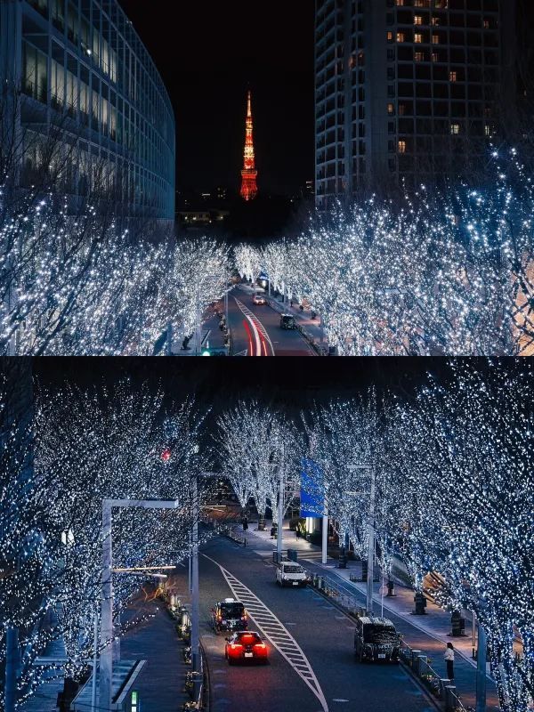 Experience the Magic of Tokyo's Christmas Lights Next Month