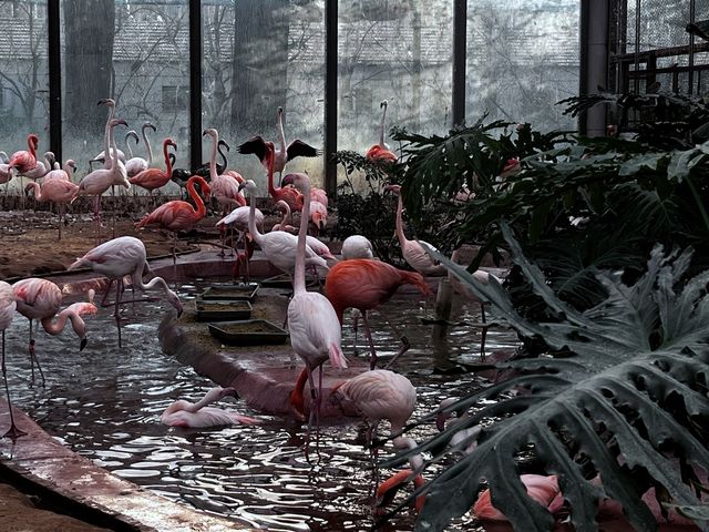 【城市綠洲】北京動物園，家庭親子遊的樂園