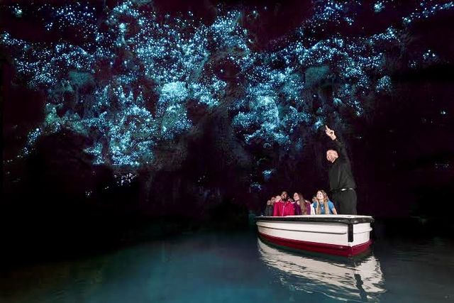 Discover the Enchanting Blue Glowworm Caves of Waitomo