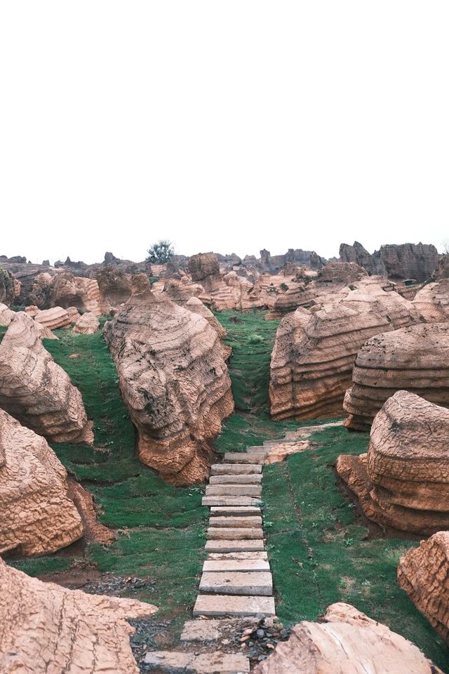 張家界居然還有這樣一個人少景美的地方！