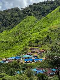 The amazing valleys of the Cameron Highlands