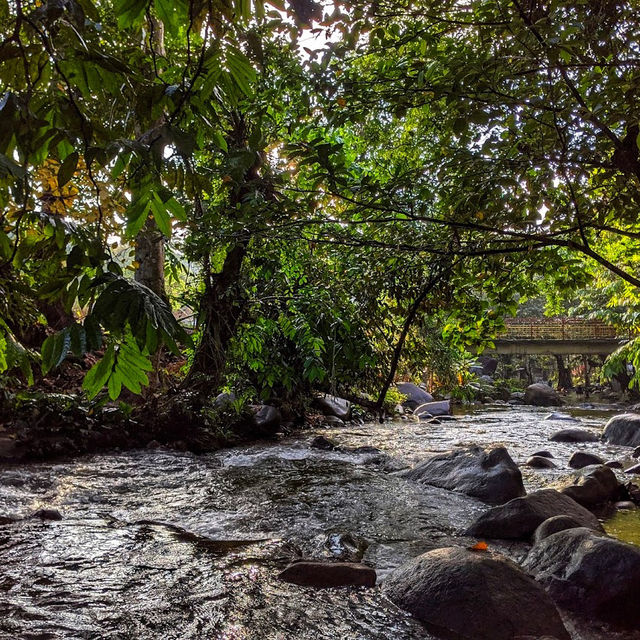 🇲🇾 Reconnect with Nature at Sungai Congkak Recreational Forest