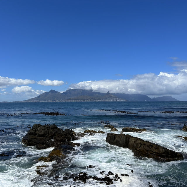 Robben Island: Walking in the Footsteps of History