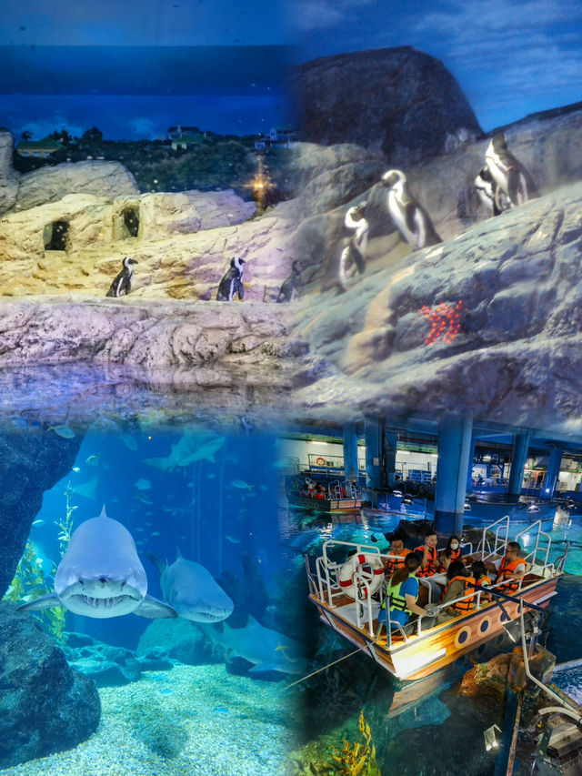 Exploring the Depths: A Cool Escape at SEA LIFE Bangkok Ocean World