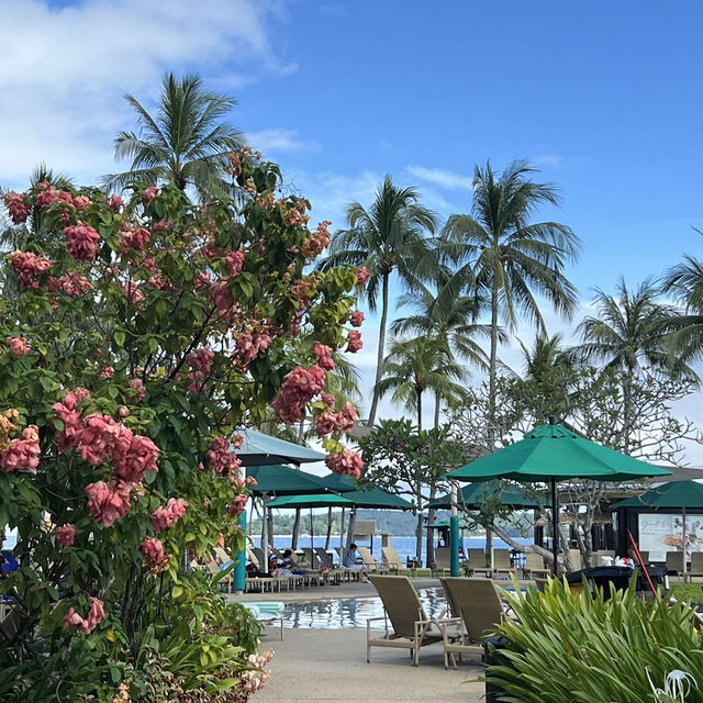 🌅세계 3대 선셋인 코타키나발루🏝️🇲🇾