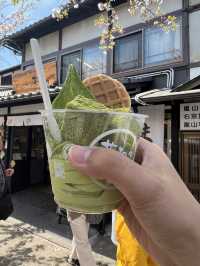 Famous Matcha and warabimochi