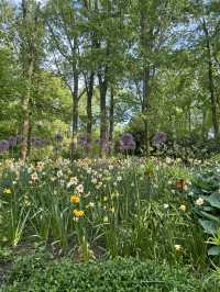 Step into a fairytale of blooms at Keukenhof next year spring.