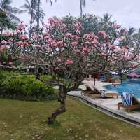 Tropical Tranquility: My Serene Escape to Holiday Resort Lombok