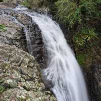 Marvel at the Natural Bridge in Springbrook National Park