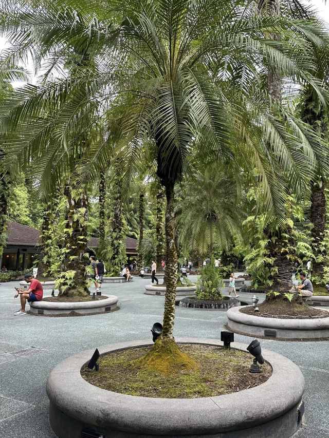 Singapore Botanic Gardens: A Tropical Haven in the City