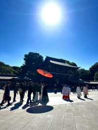 Meiji Jingu: A Serene Escape in the Heart of Tokyo