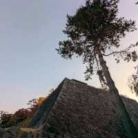 盛岡城跡的紅葉與日出，紐時評選必訪的城市第二名