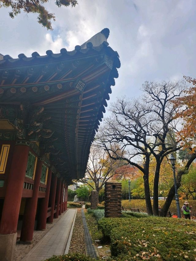 가을가을한 낭만적인 공원 경상감영공원🌿🧡