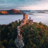 Exploring Pfälzer Wald: A Hidden Gem in the Palatinate Forest 