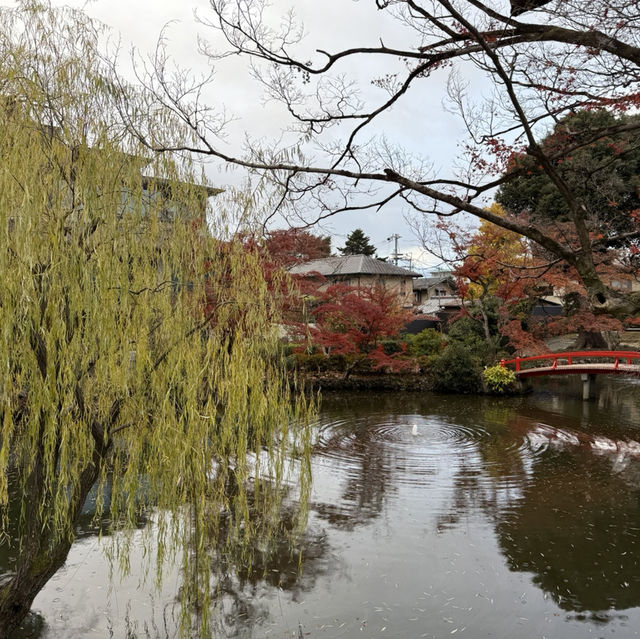 Immerse in the Kyoto Aesthetics