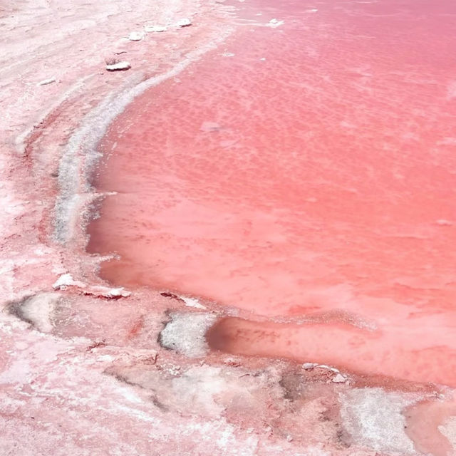 A Pink Paradise: Have You Seen the Stunning Lake Hillier in Perth??